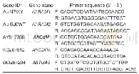 《Table 1 Primer sequences for quantitative real-time PCR amplification》