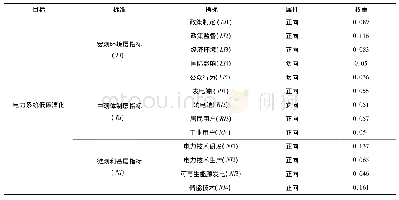 表4 中国电力系统指标体系的权重分配