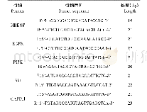 表1 引物序列及GAPDH内参序列