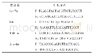 表1 引物序列：let-7b及肿瘤坏死因子α在重度子痫前期胎盘组织中的表达及意义