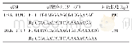 表1 DKK-1引物序列和产物片段大小