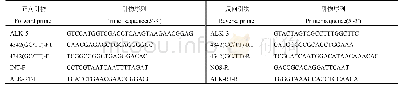 《表1 本研究所用的PCR引物》
