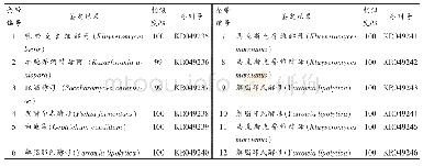 表6 发酵驼乳样品中酵母26S rDNA基因序列的分析结果