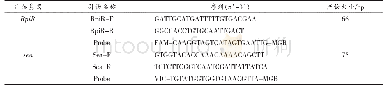 表2 检测引物和探针序列信息