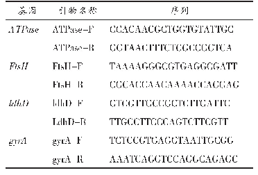 表2 RT-qPCR基因引物序列