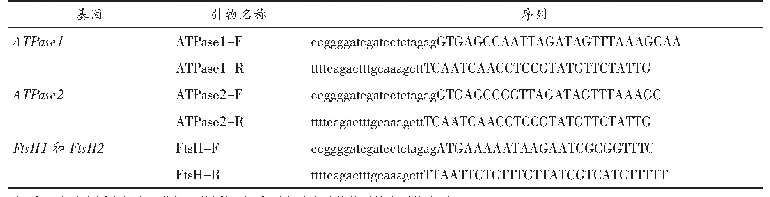 表3 同源重组基因引物序列