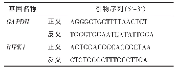 表1 用于定量PCR的引物序列表