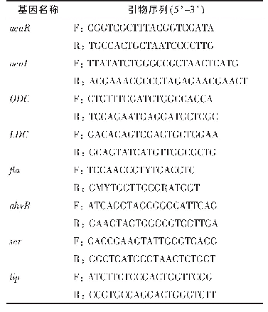 表1 PCR所使用的引物序列