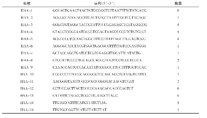 表1 测序得到的15条适配体序列