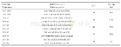 表1 FCV鉴定引物及全长引物序列