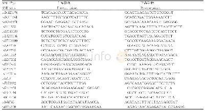 表1 2 1 个SNP位点的引物信息Tab 1Primer information of 21 SNP sites