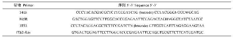 表1 高通量测序使用的引物