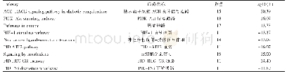 表2 显著性较高的通路信息