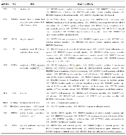 表2 最具有代表性的显著差异表达基因GO功能分析