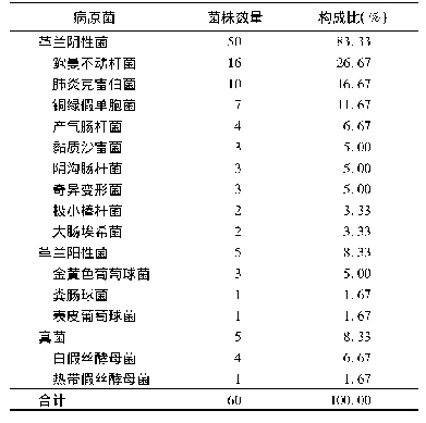 表1 高龄患者VAP病原菌分布及构成情况