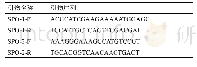 《表1 西瓜不定根PCR检测引物》