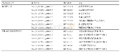 表2 两类代谢物合成途径基因情况