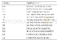 表1 扩增辣椒轻斑驳病毒基因组不同区域的引物对