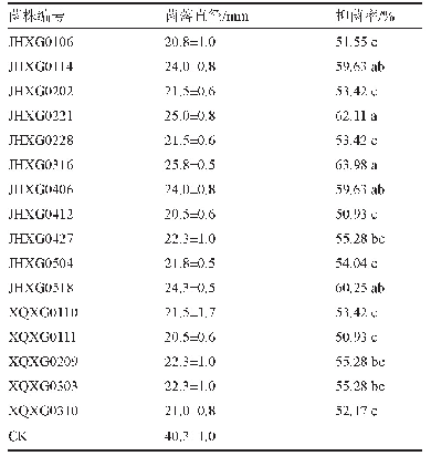 表1 拮抗菌株对西瓜枯萎病菌XGKW01的拮抗作用