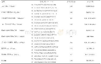 表2 引物序列、目的片段及基因文库