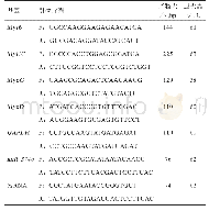 表1 引物序列：miR-374b及其靶基因Myf6调控成肌细胞增殖分化的研究