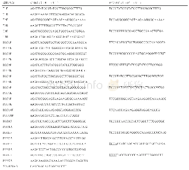 表1 DNA寡核苷酸序列