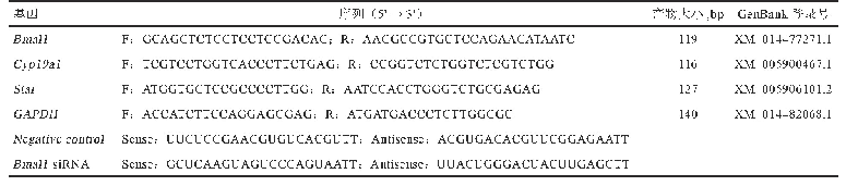 表1 引物序列：siRNA干扰牦牛Bmal1基因对颗粒细胞激素分泌的影响
