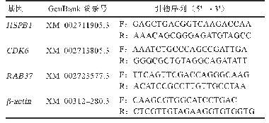 表1 RT-PCR引物信息