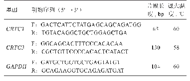表1 引物序列：布莱凯特黑牛CRTC1、CRTC3基因克隆测序及表达分析
