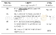 表1 PCR扩增所用引物