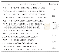 表1 扩增E、M、N和S基因的引物