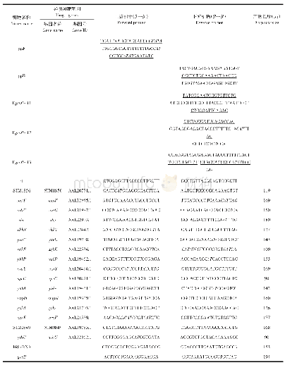 表1 本研究所用引物：鼠伤寒沙门菌小RNA GcvB靶基因筛选和验证分析