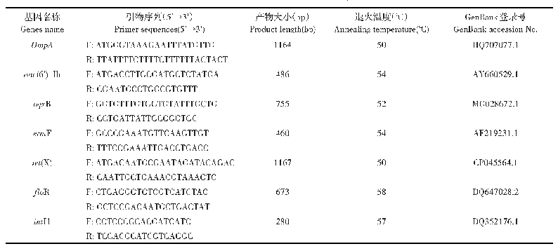 表1 引物信息：两株鸭疫里默氏杆菌的分离鉴定及生物学特性分析