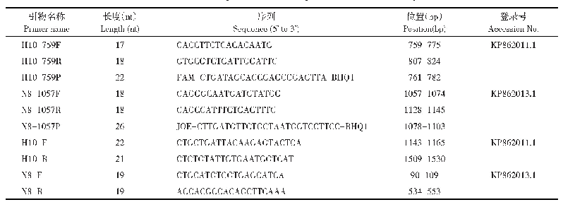 表1 扩增HA和NA基因所用的引物和探针序列
