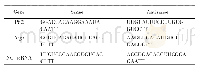 《表2 x,y变量组合表：绵羊肺炎支原体对肺上皮细胞自噬影响的研究》