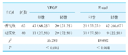 表1 两组患者VEGF、E-cad的阳性表达率比较[例（%）]