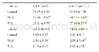 表3 各组大鼠血清中ET-1、VEGF含量及血管组织中ET-1、VEGF mRNA表达比较