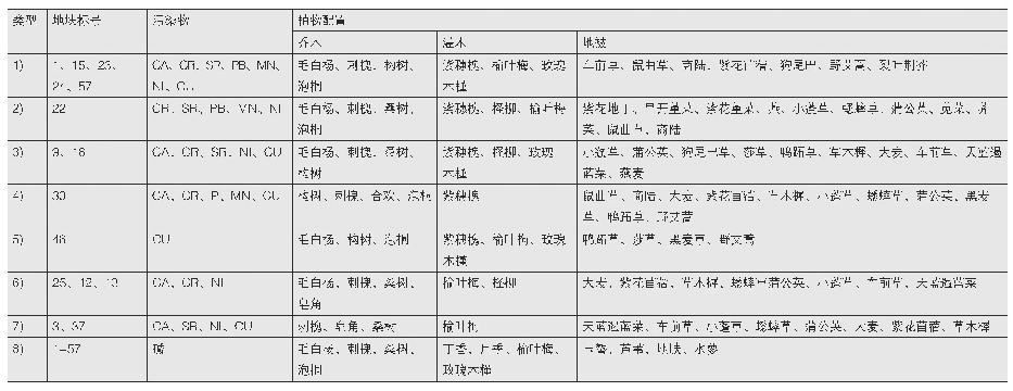 表3 各地块土壤污染及植物配置