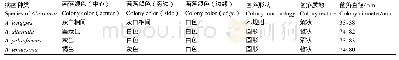 表1 4种链格孢菌在PDA培养基上的菌落形态特征