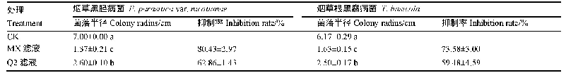 表1 生防菌对烟草黑胫病菌和根黑腐病菌菌丝生长的抑制效果
