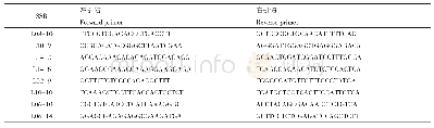 表5 与多主花序基因连锁的SSR标记
