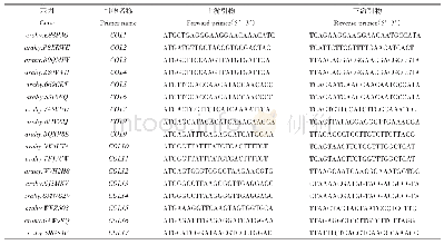 表1 17个Ah COL基因克隆引物表