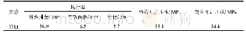 表4 典型阀门（井下安全阀）参数