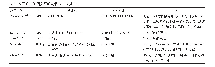 表1 铁死亡对肿瘤免疫的调节作用