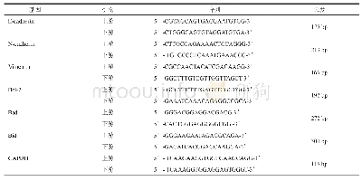 《表1 引物序列表：沉默Notch-1基因影响人膀胱癌RT4细胞生物学行为的体外实验研究》