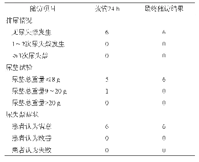 表2 6例压力性尿失禁患者术后Grouts-Blaivas评价结果（例）