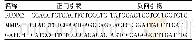 《表1 real-time PCR引物序列》