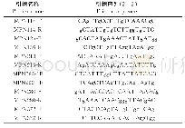 表1 SNP分型位点扩增引物序列