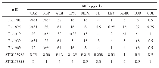 表2 临床常用抗菌药物碳青霉烯类耐药铜绿假单胞菌的MIC值（μg/mL)