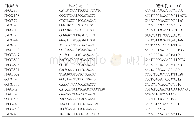 表1 SSR引物序列信息
